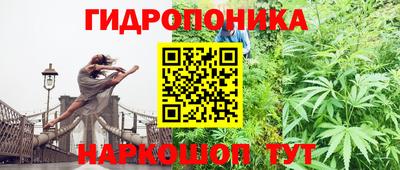 гидра Заводоуковск
