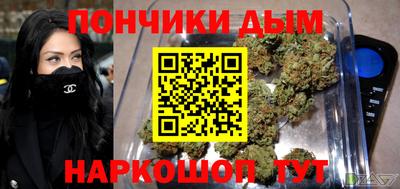 гидра Заводоуковск