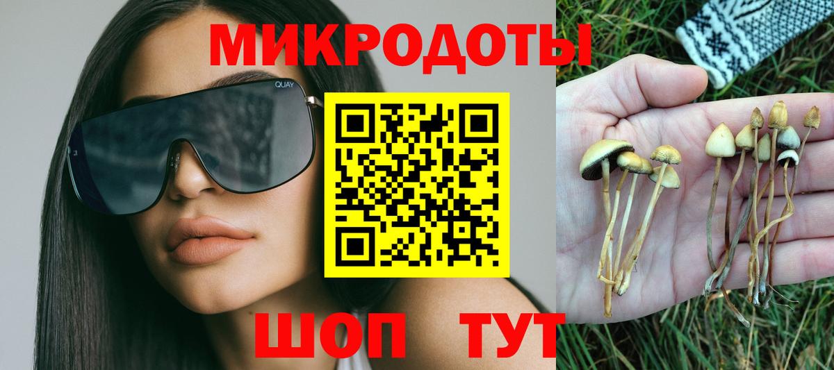 Лесосибирск  магазин продажи   Вход с VPN  Галлюциногенные грибы прущие грибы 